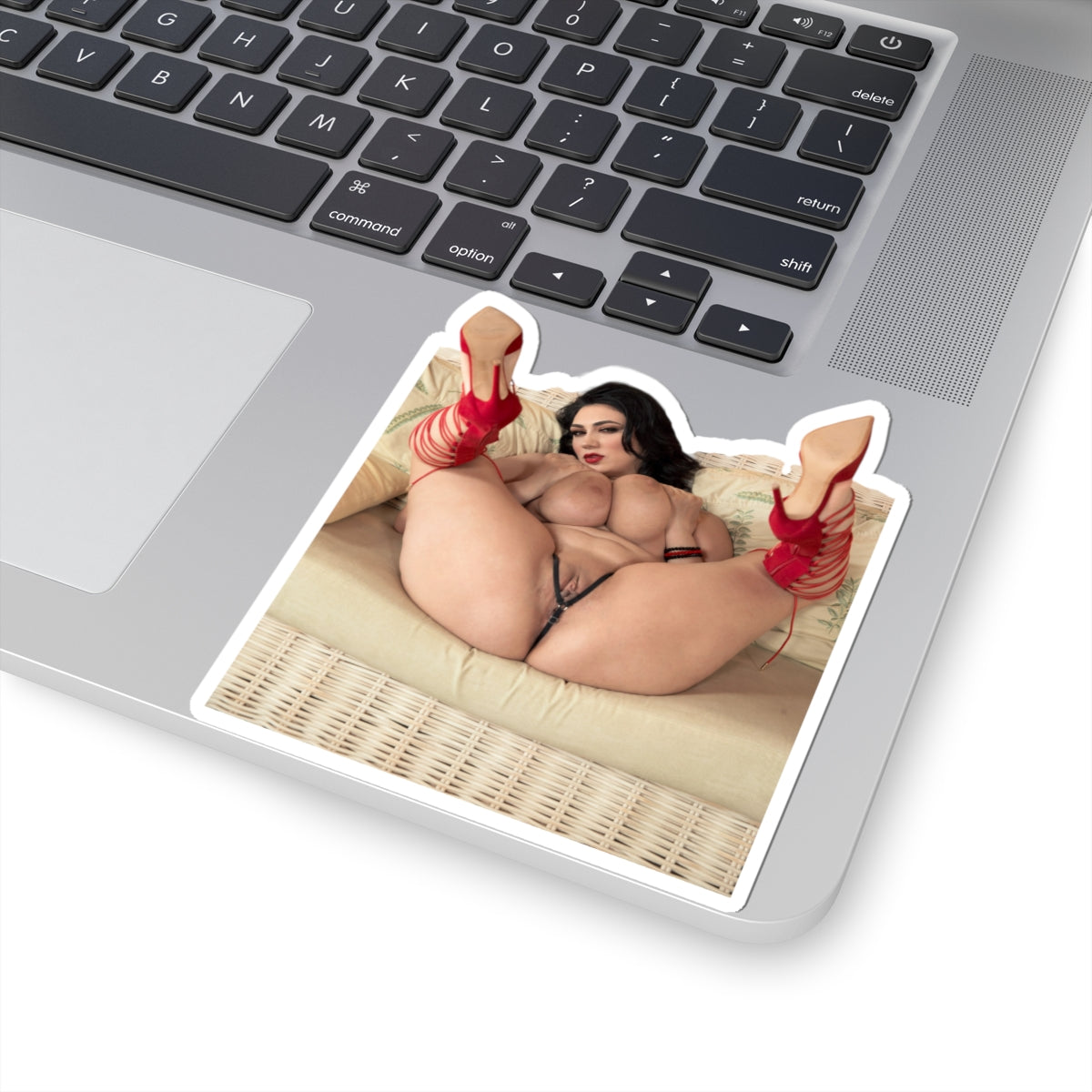 Adult Stickers Big Tits Sexy Girl Mature Sticker