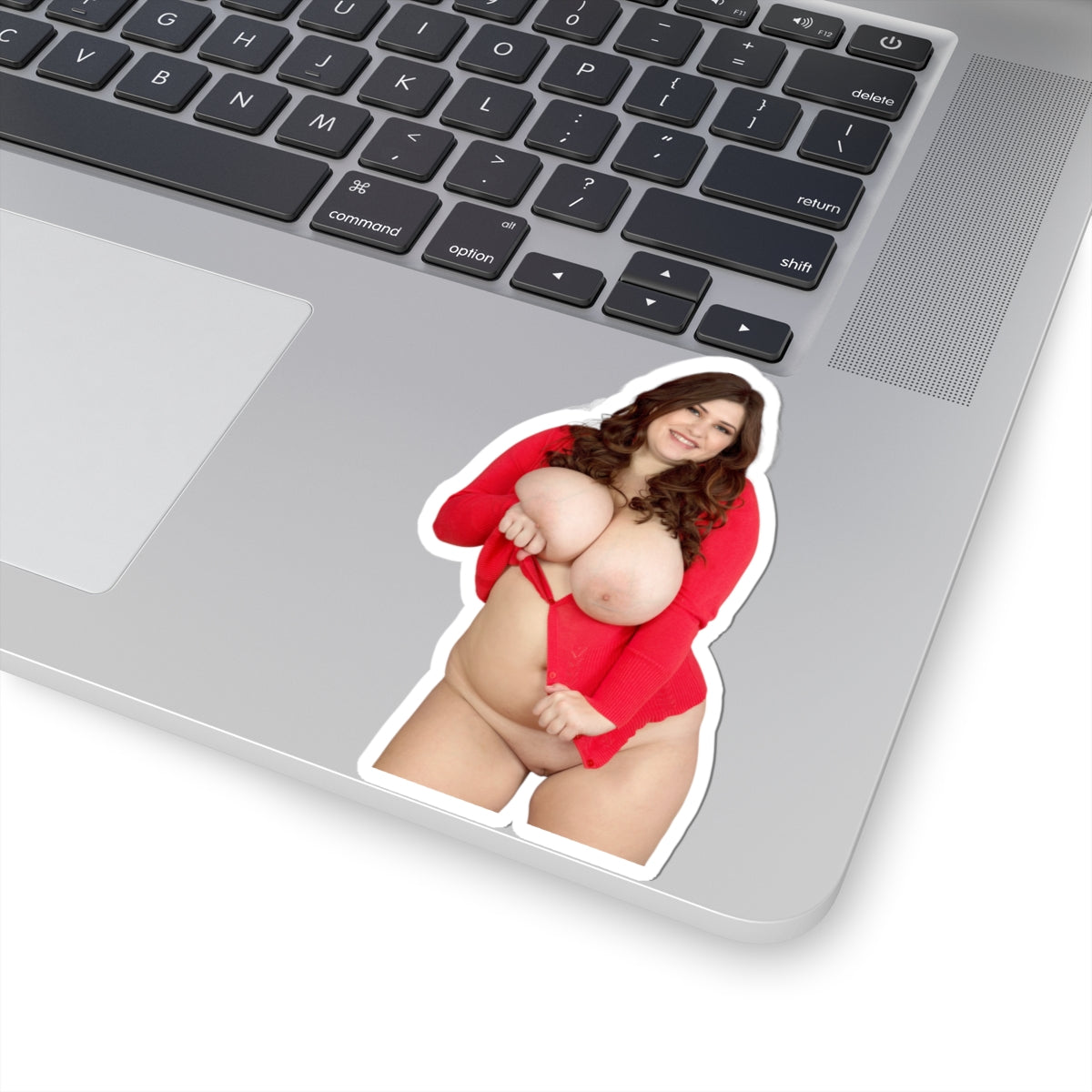 Thick Curvy Girl Big Boobs Women Sticker