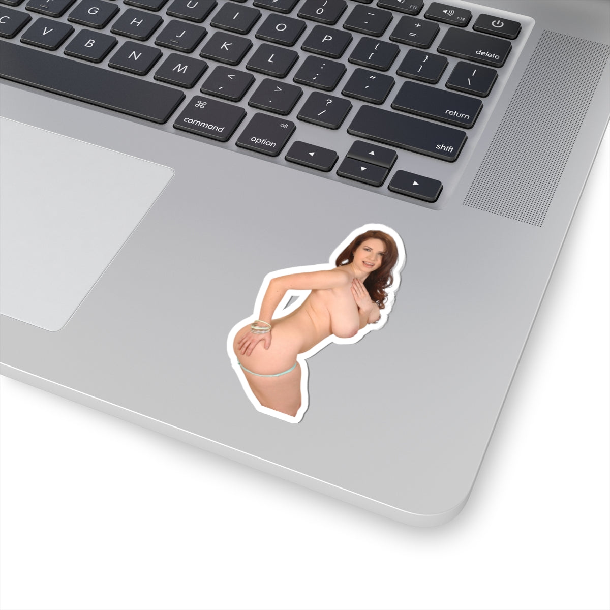 naked big tits girl stickers