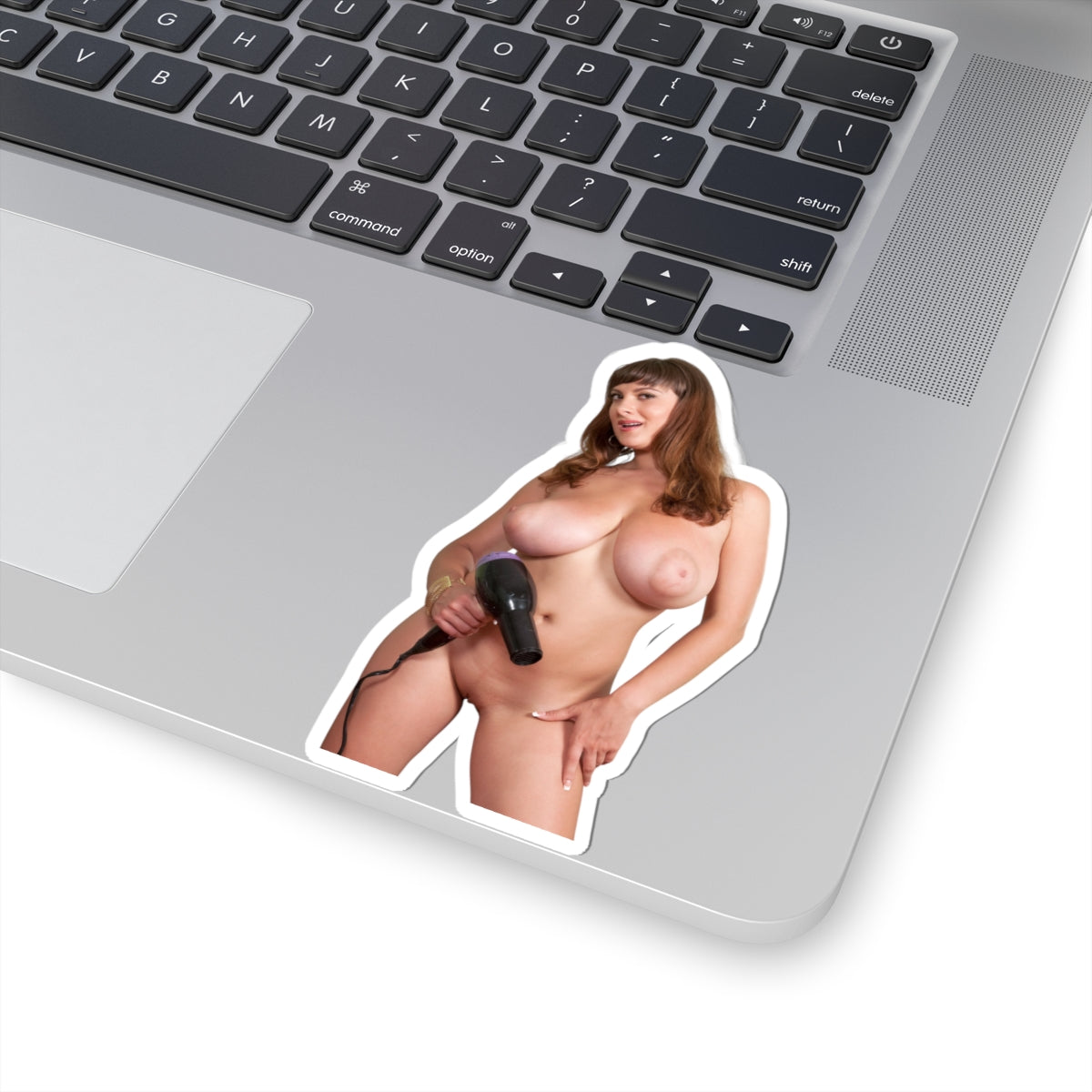 Big Boobs Girl Sticker Adult Stickers Pinup Model Decals