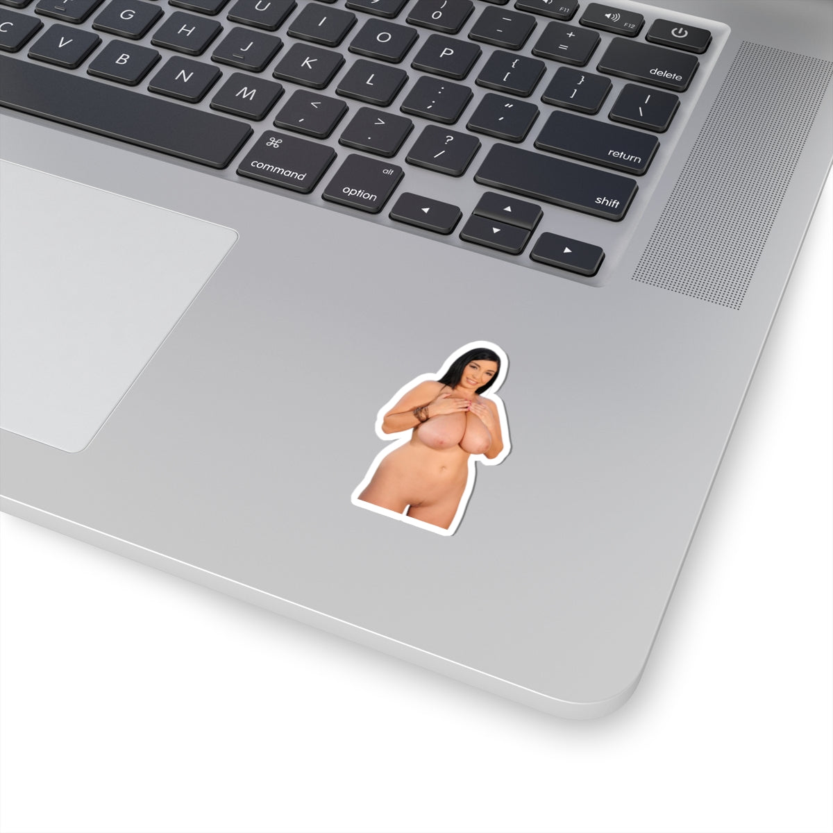 Big Boobs Tits Pinup Model Vinyl Sticker Adult Decals Uncensored Stickers