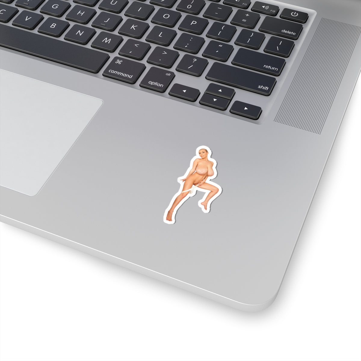 Busty Girl Vinyl Sticker Naked Woman Bathroom Adult Artwork