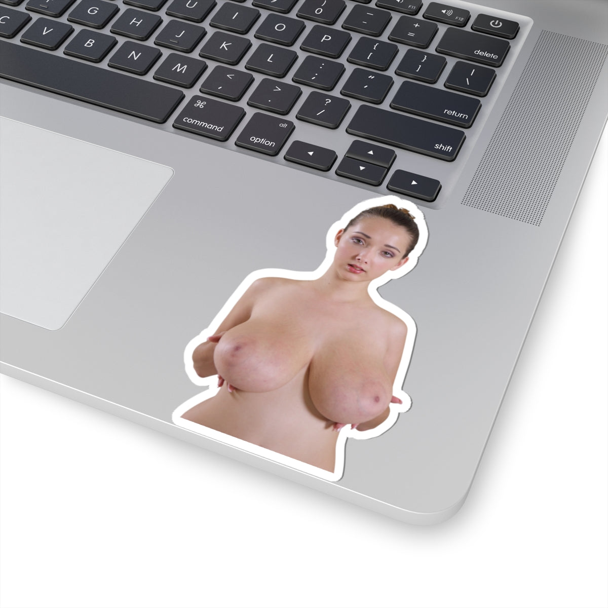 Big Tits Girl Sticker