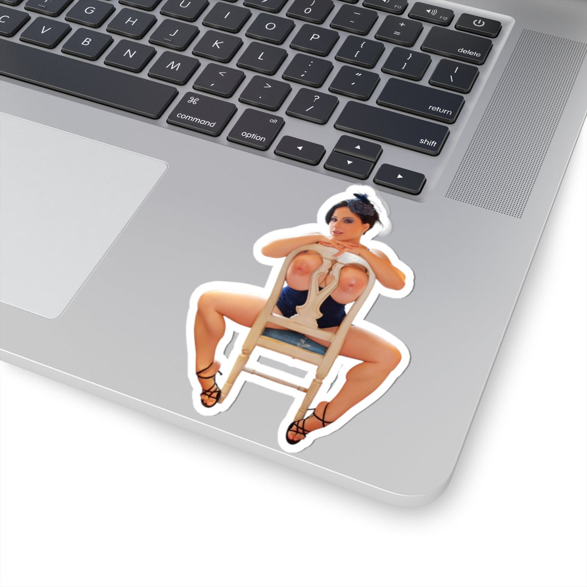 Big Boobs Sexy Naked Women Stickers