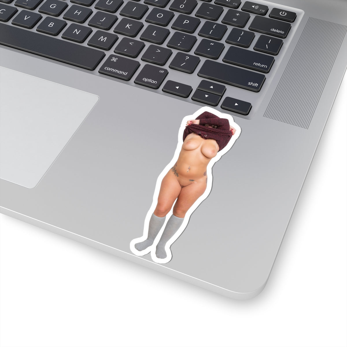Sexy Model Sticker Naked Pinup Girls Stickers