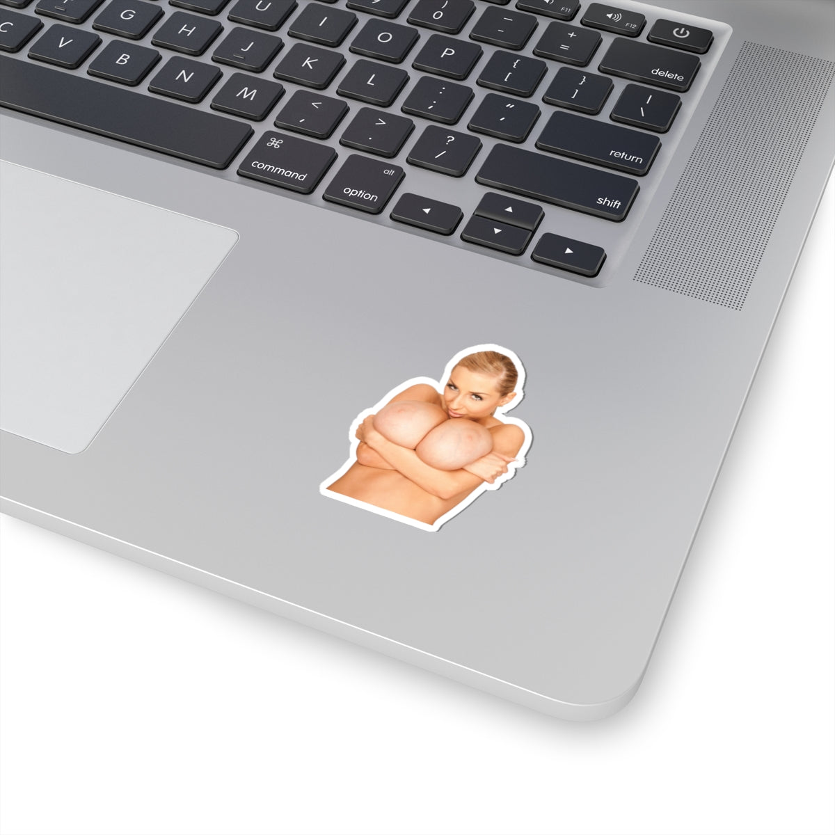 Naked Woman Vinyl Decal Busty Girl Bathroom Sticker