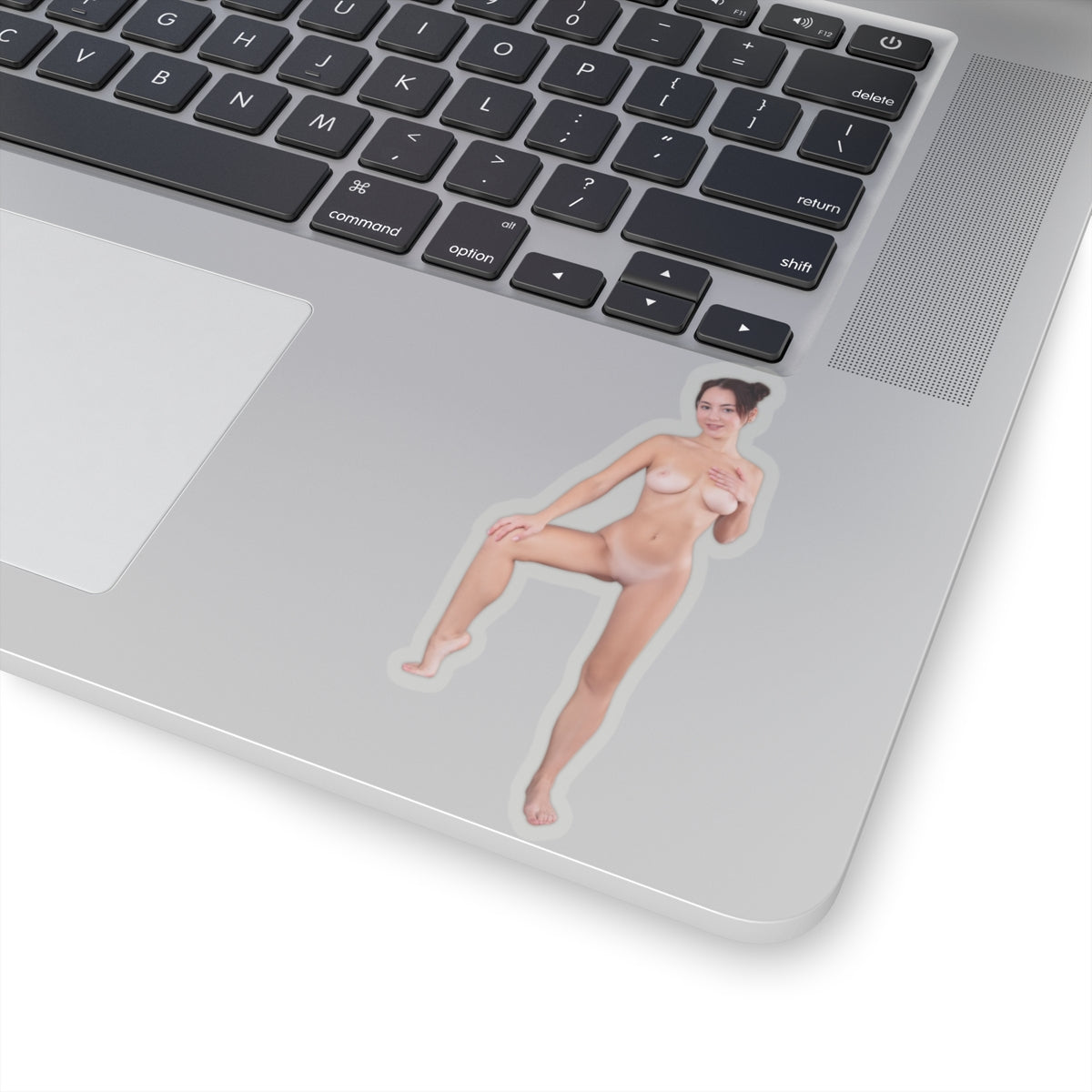 Pinup Stickers Sexy Naked Pretty Girl Sticker