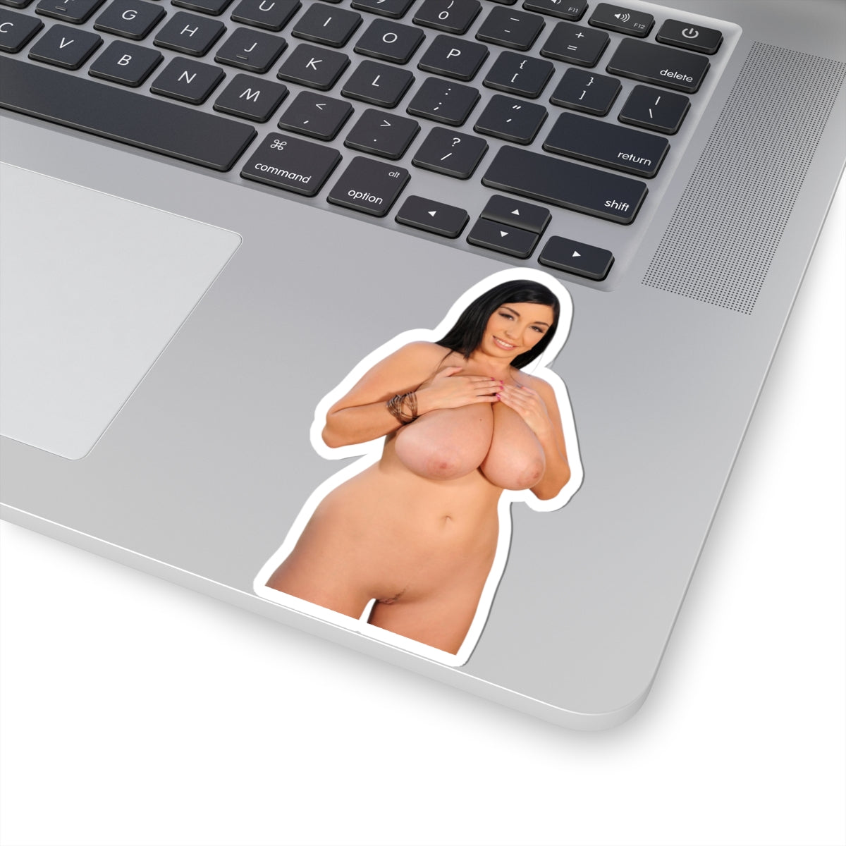 Big Boobs Tits Pinup Model Vinyl Sticker Adult Decals Uncensored Stickers