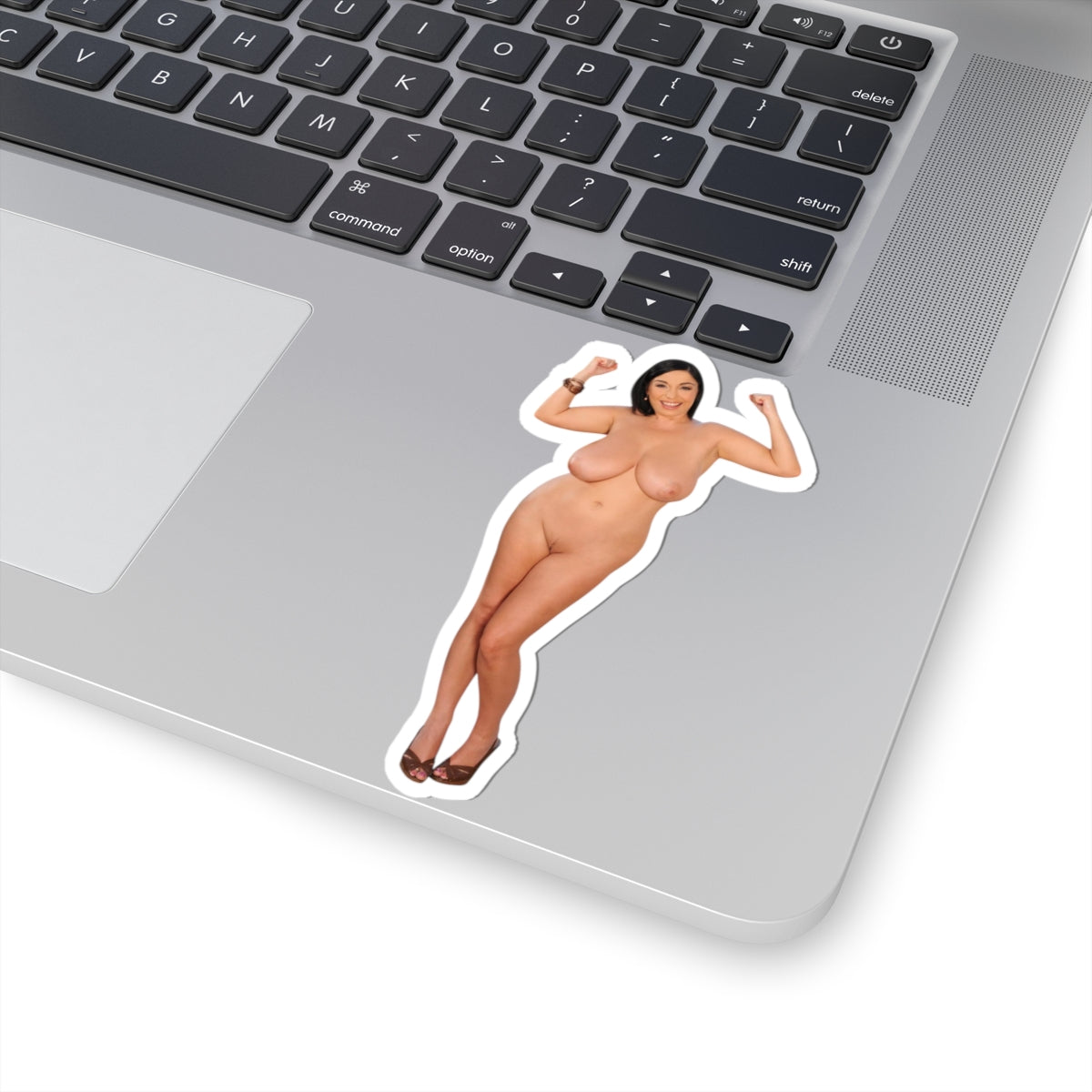 Busty Model Vinyl Decal Sexy Pinup Girl Adult Sticker