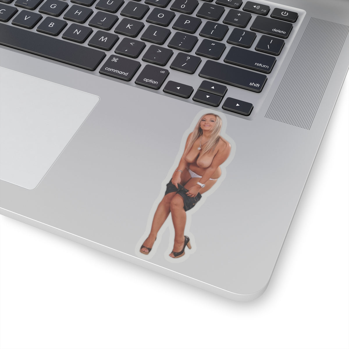 Adult Mature Stickers