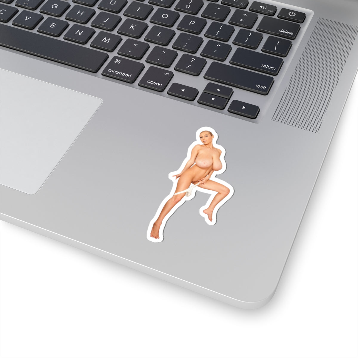 Busty Girl Vinyl Sticker Naked Woman Bathroom Adult Artwork