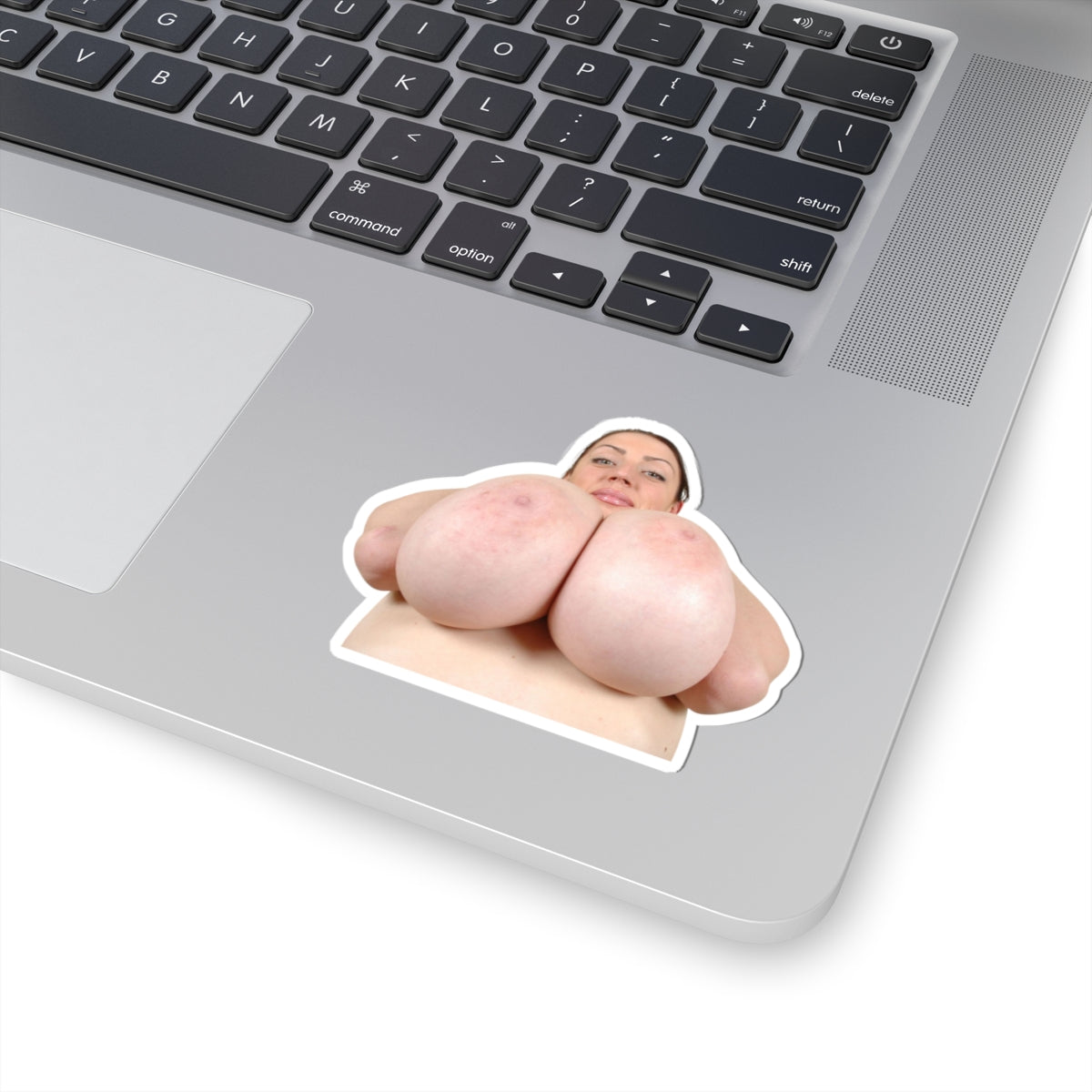 Huge Tits Girl Sticker Big Boobs Women Stickers