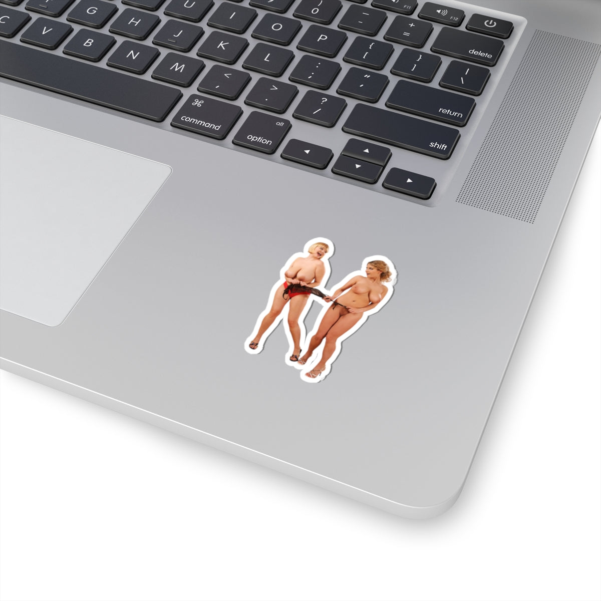 Sexy Big Bust Women Stickers Curvy Girl Vinyl Decal