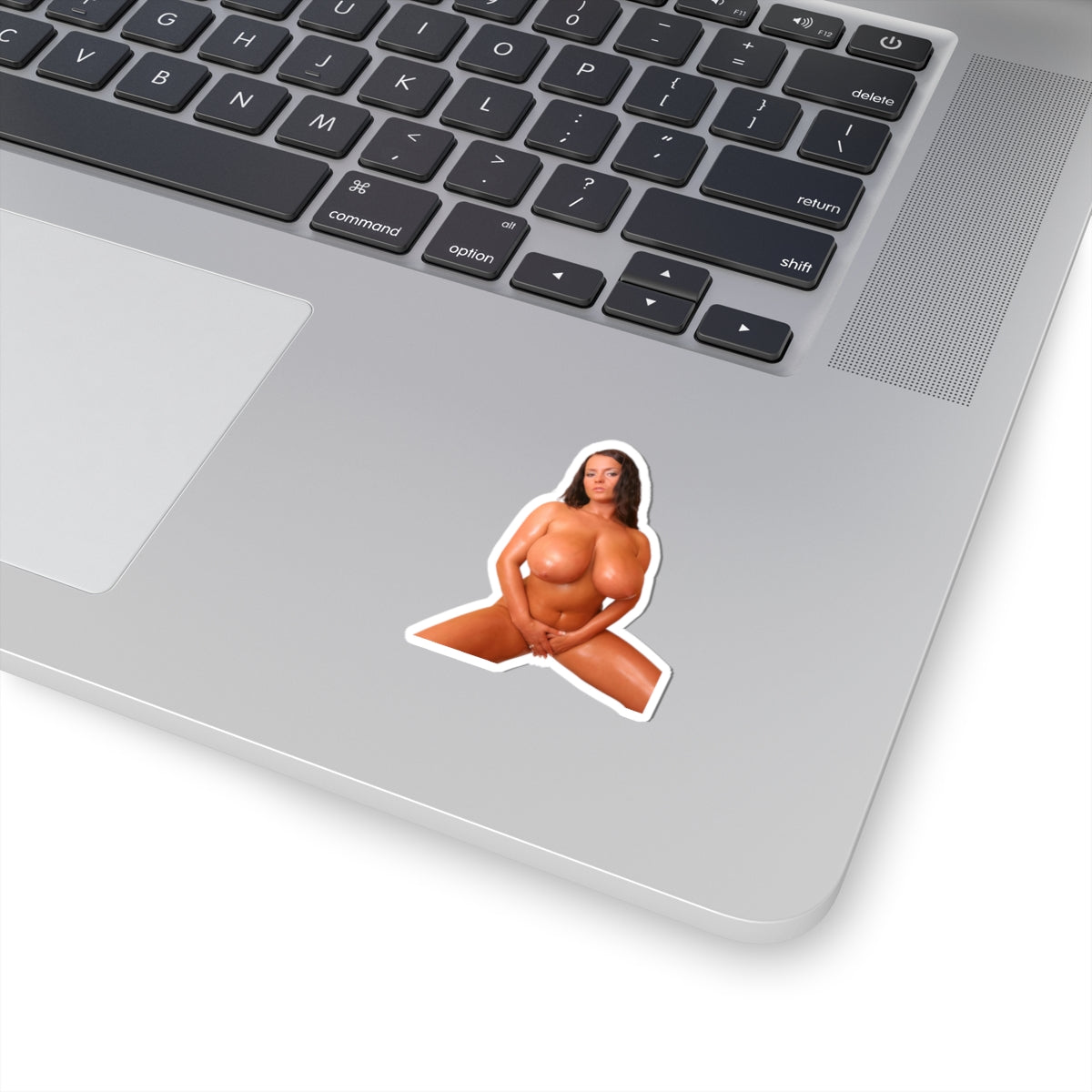 Big Boobs Tan Girl Sticker Nudes Naked Model Stickers