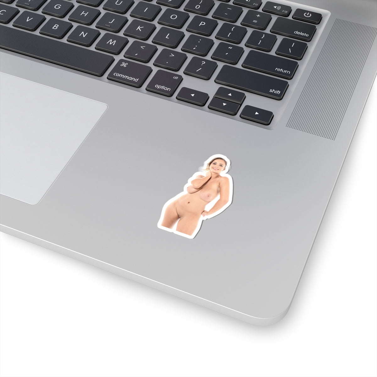 Naked Women Sticker Nude Girl Stickers Pinup Decals