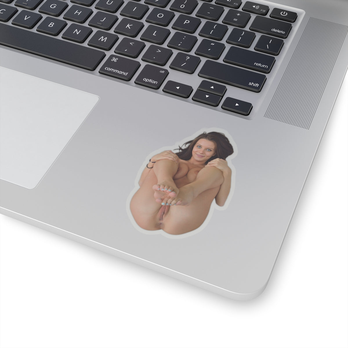 PRETTY GIRL STICKER HOT PINUP MODEL STICKERS