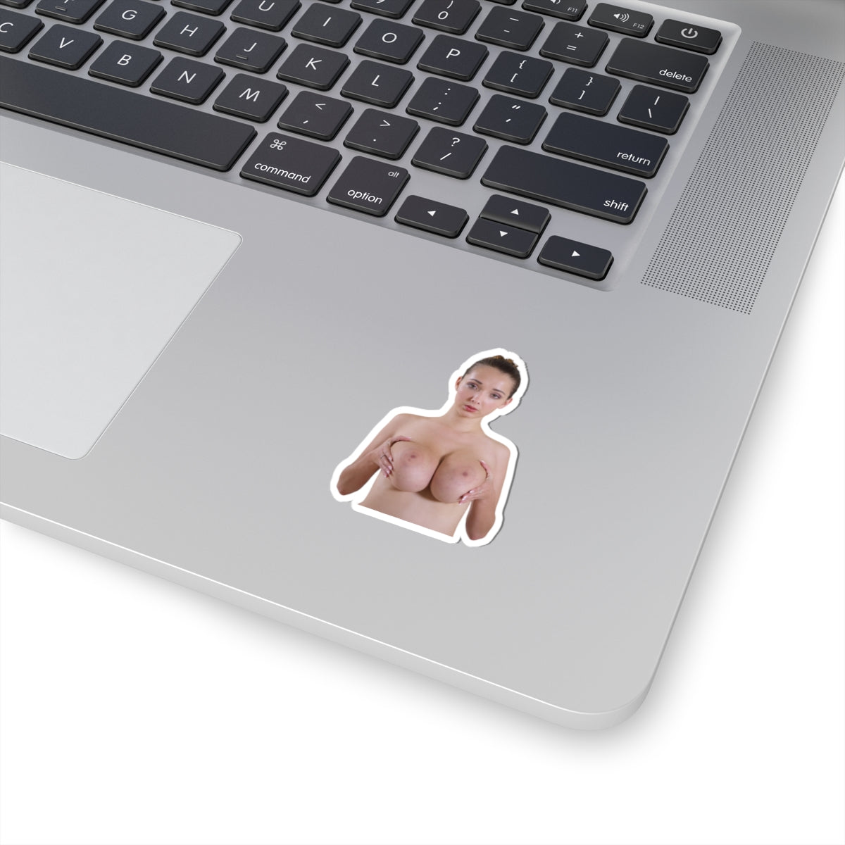 Naked Big Boobs Girl Sticker