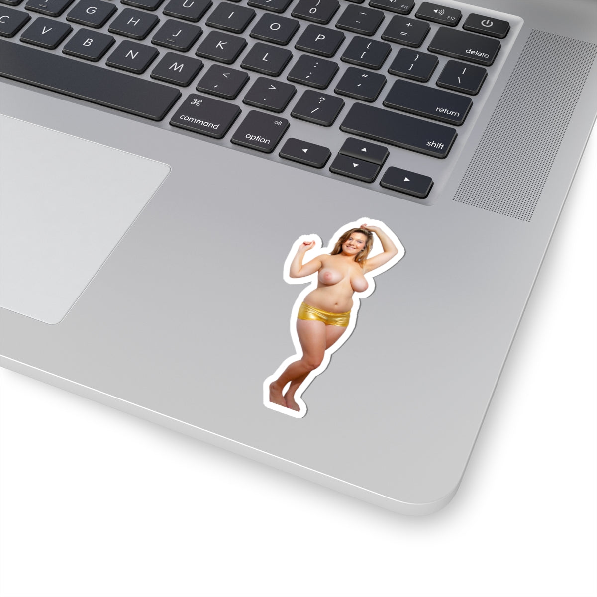 CUTE SEXY GIRL BIG TITS STICKERS