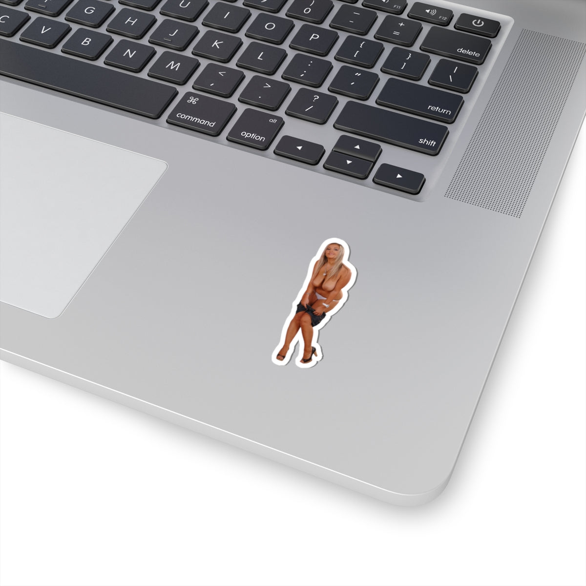 Adult Mature Stickers