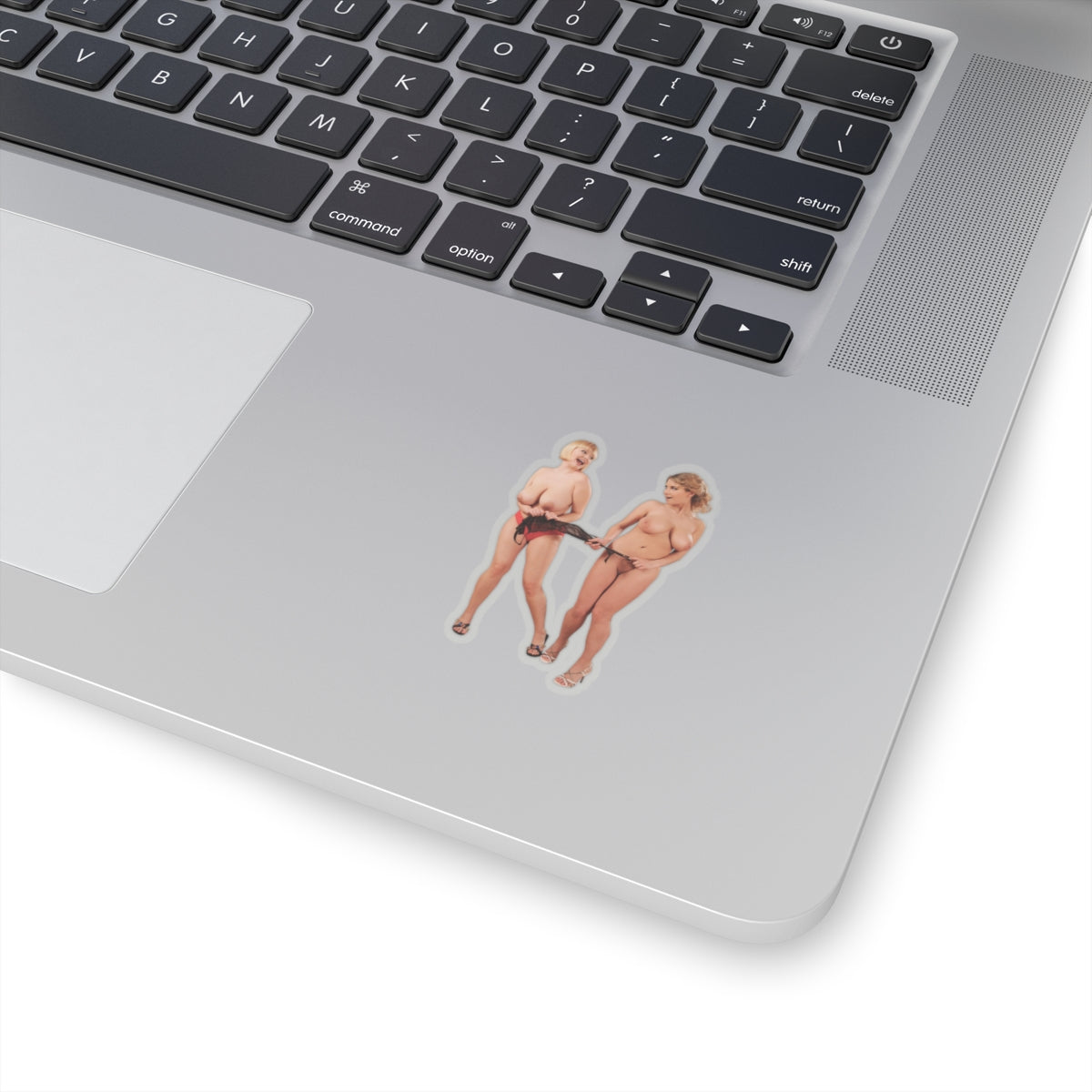 Sexy Big Bust Women Stickers Curvy Girl Vinyl Decal