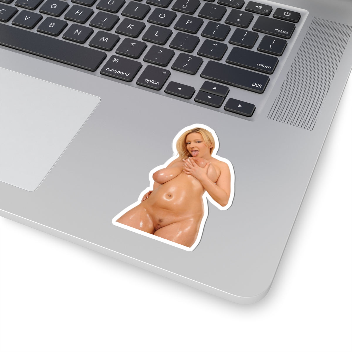 Adult Uncensored Stickers 1