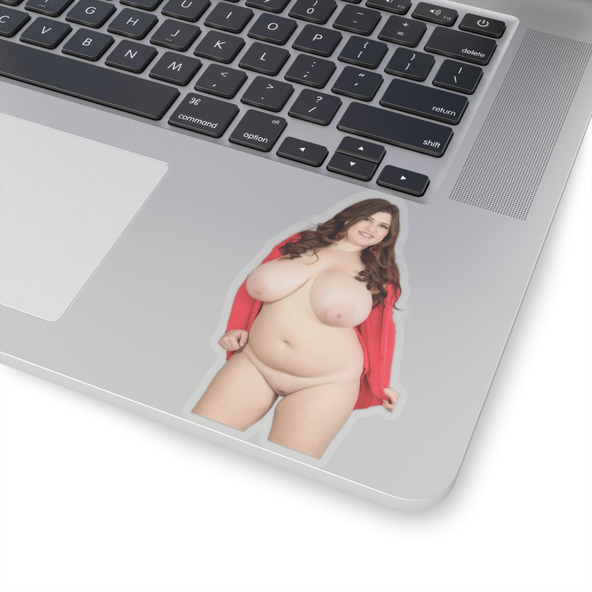 Huge Boobs Girl Sticker Large Tits Stickers Big Breast Decals