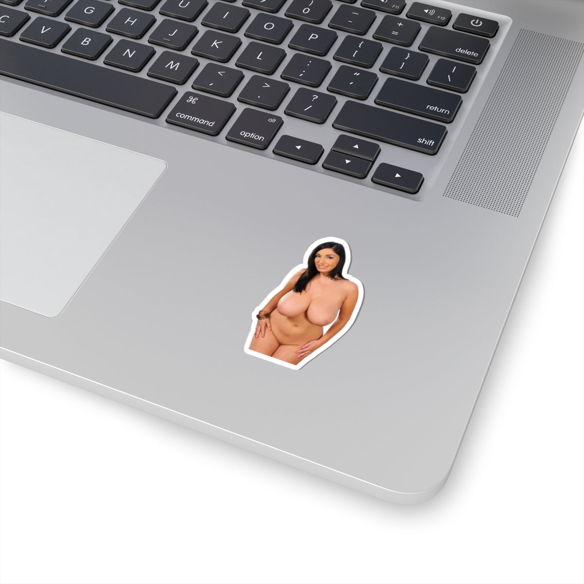 Boobs Woman Vinyl Decal Pinup Girl Adult Sticker Design
