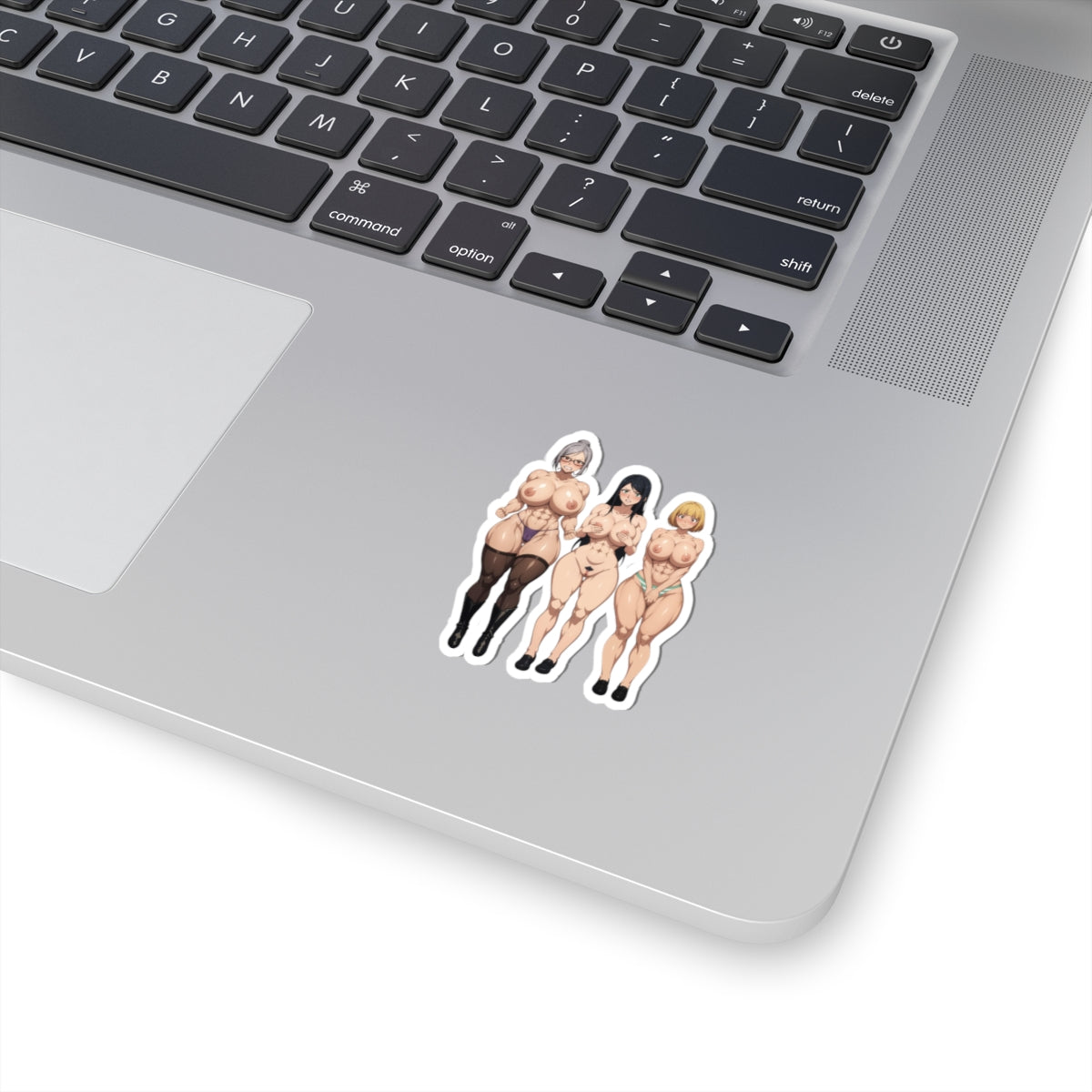 Anime Girls Sticker Sexy Hentai Manga Stickers