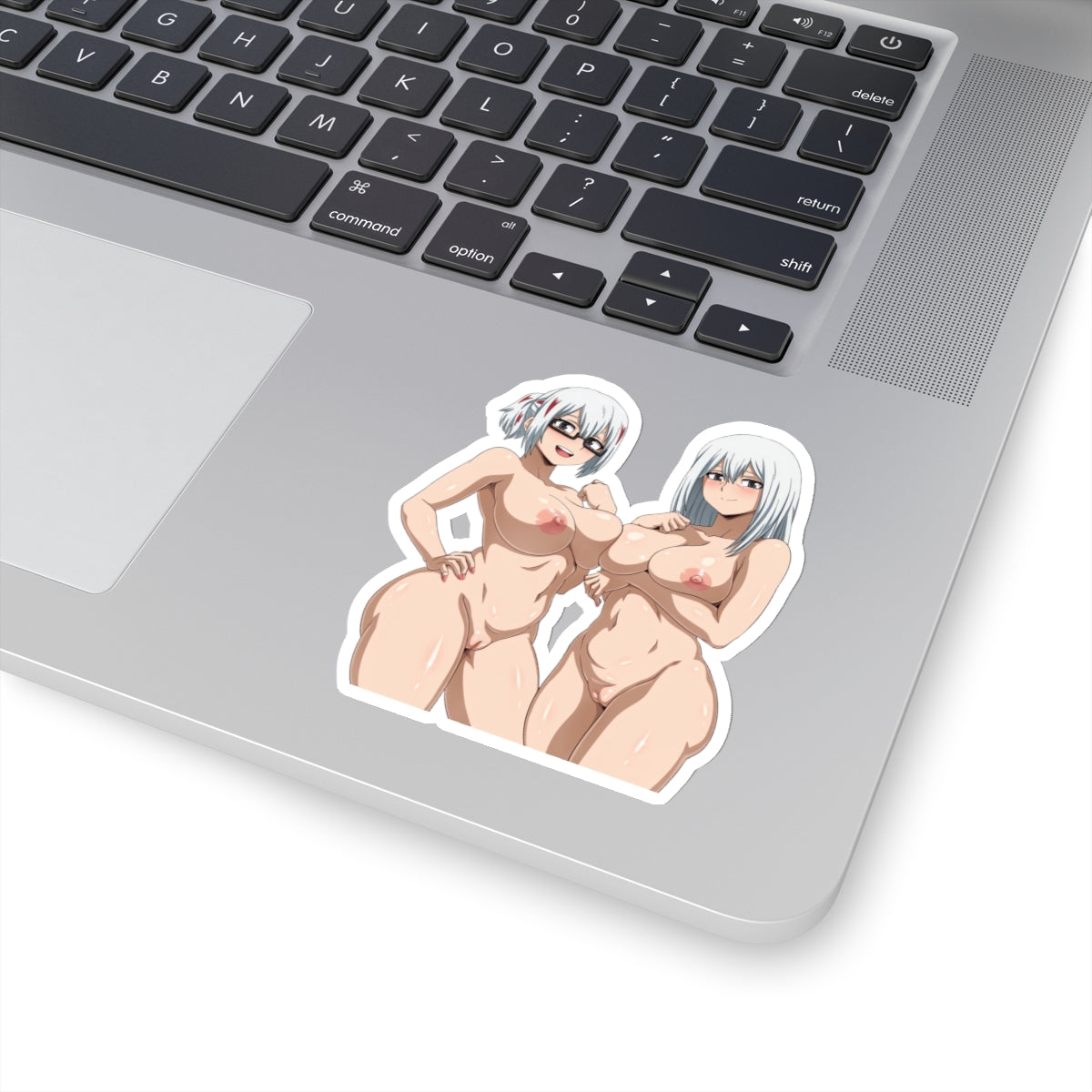 Silver Hair Anime Girls Sticker Adult Anime FanArt Manga Cartoon Kawaii Waifu Lewd Ecchi Sticker Mature Stickers E228