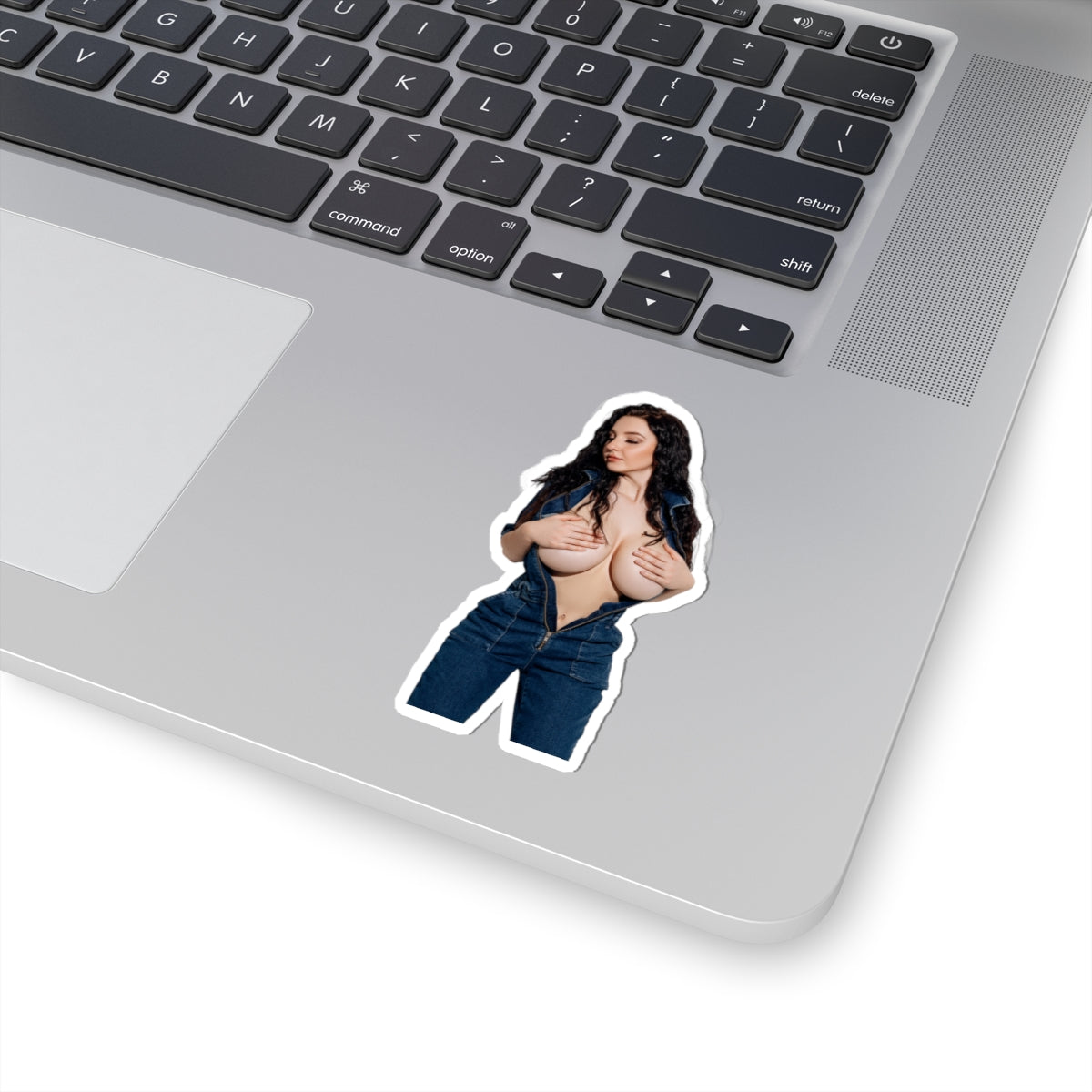 Big Tits Laurine Model Stickers Sexy Girl