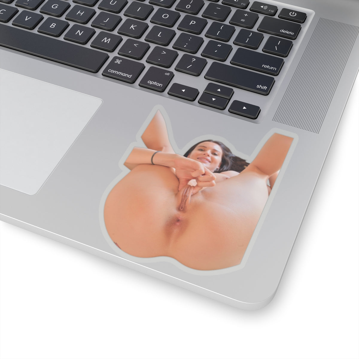 PRETTY GIRL STICKER SEXY PINUP MODEL STICKERS