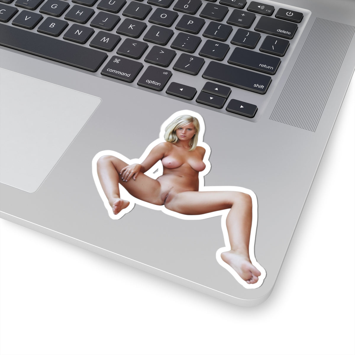 Sexy Pinup Girl Vinyl Sticker Adult Humor Decal