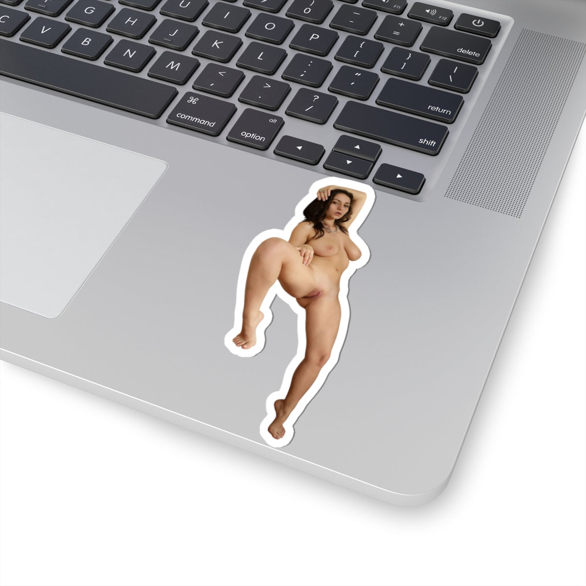 Pinup Sticker Hot Sexy Women Stickers