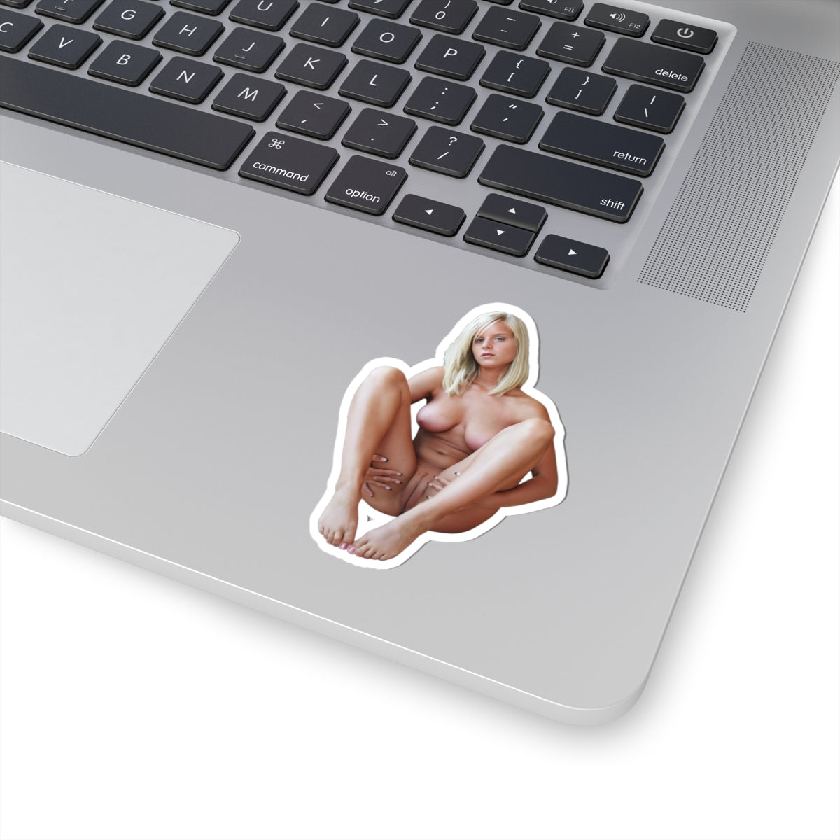 Sexy Woman Vinyl Sticker Pinup Adult Gift for Men