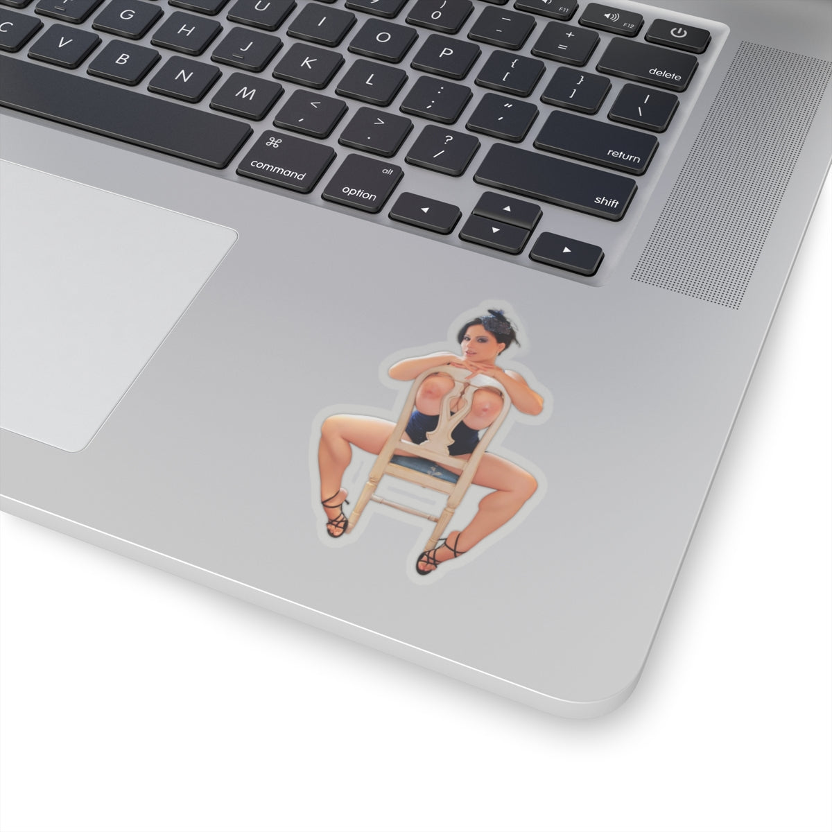 Big Boobs Sexy Naked Women Stickers