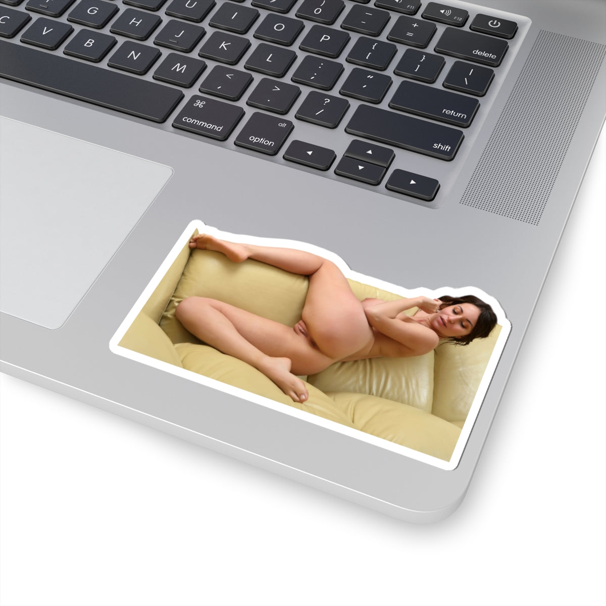 Pinup Model Sticker Hot Girl Stickers Nudity Sexy Women