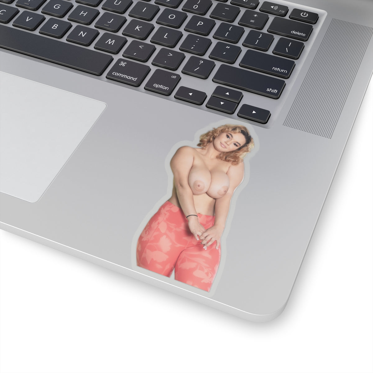 Big Boobs Girl Sticker Pinup Model Adult Stickers