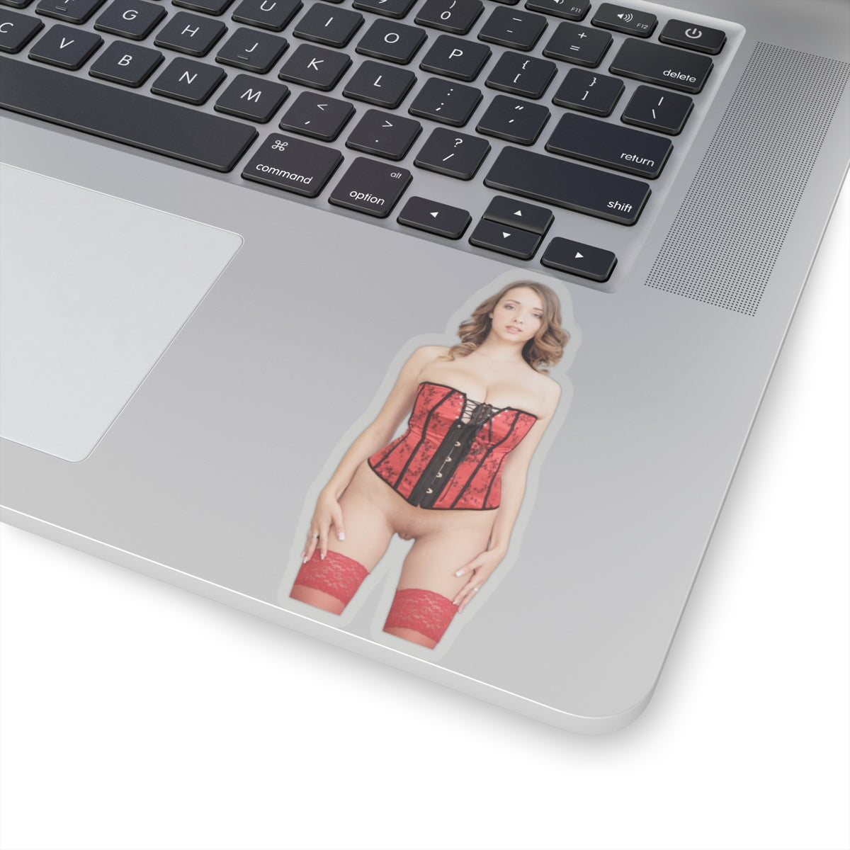 Naked Women Sticker Sexy Mature Adult Stickers
