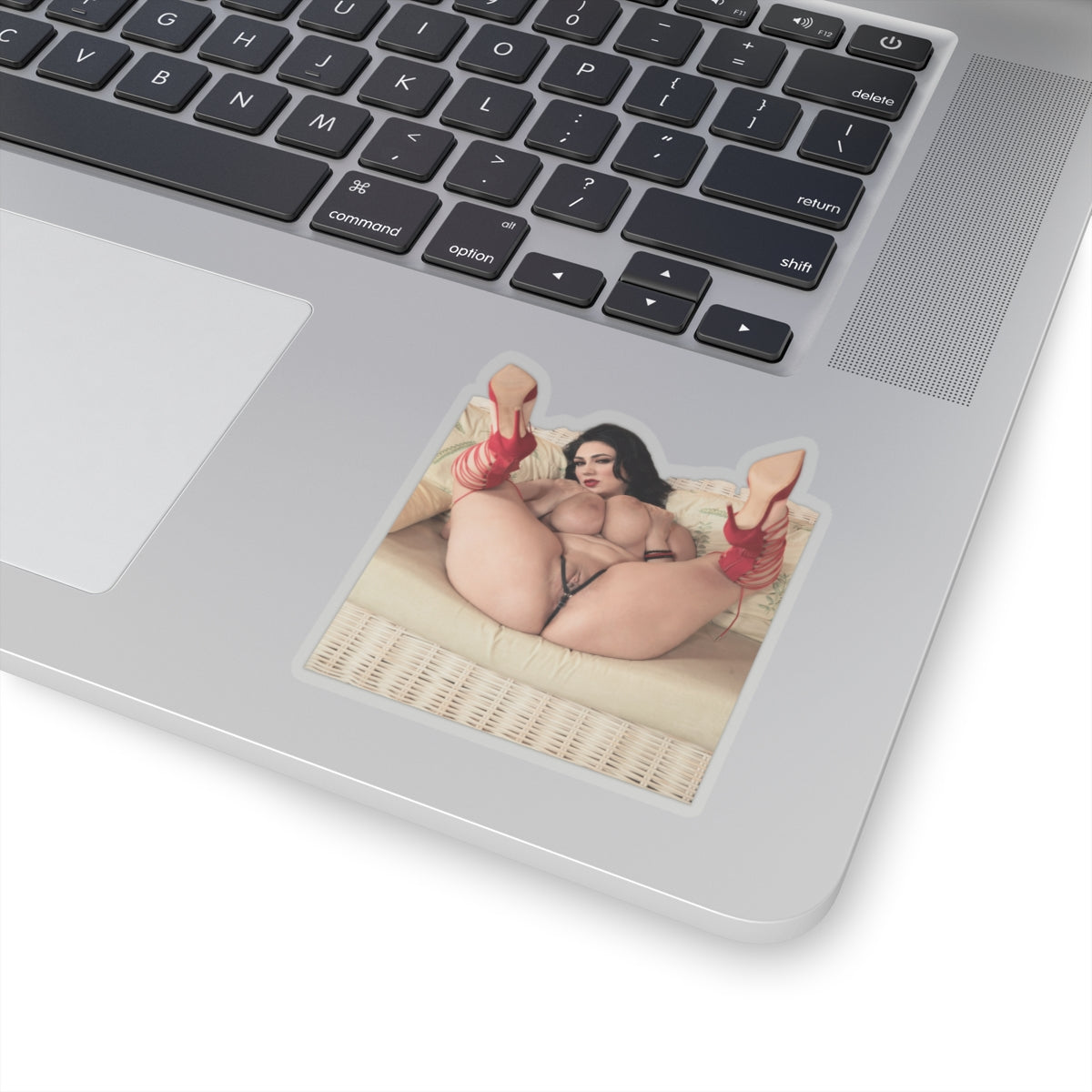 Adult Stickers Big Tits Sexy Girl Mature Sticker