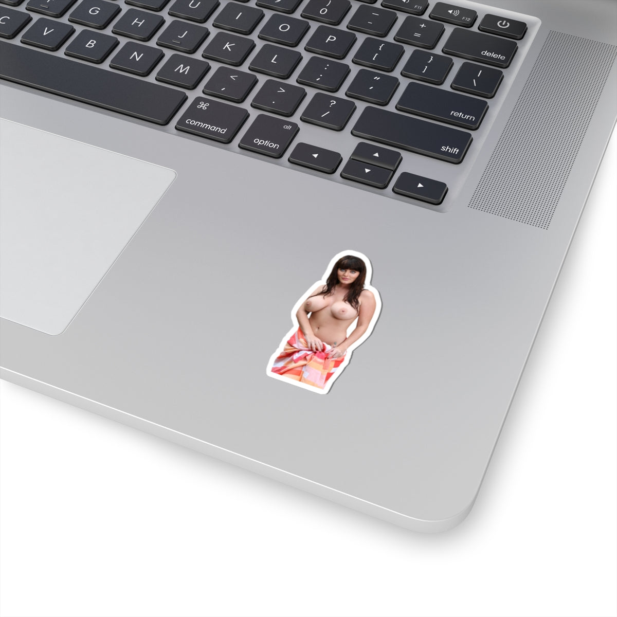 Sexy Woman With Beautiful Eyes Sticker, Gorgeous Girl in Towel Decal, Pinup Style Female Sticker