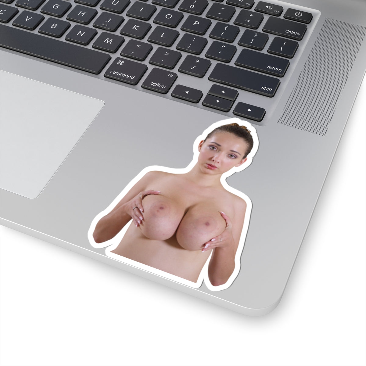 Naked Big Boobs Girl Sticker