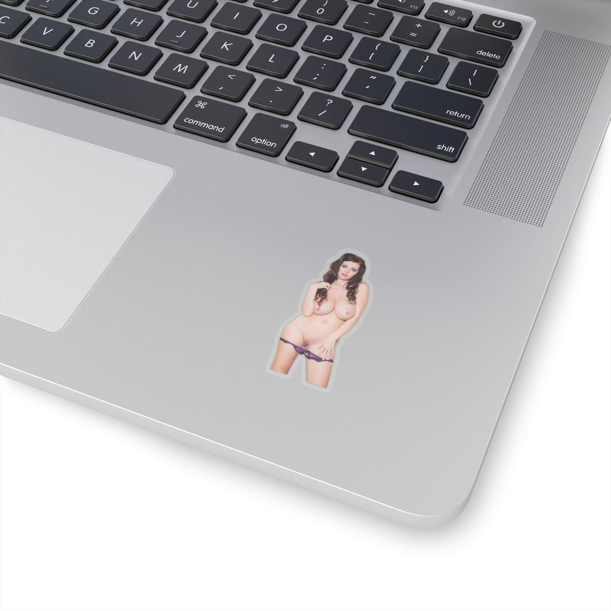 Big Tits Girl Sticker Adult Stickers