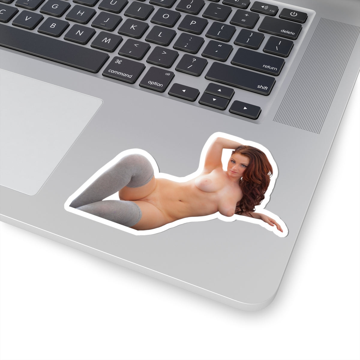 Sexy Girl Sticker Naked Pinup Model Stickers