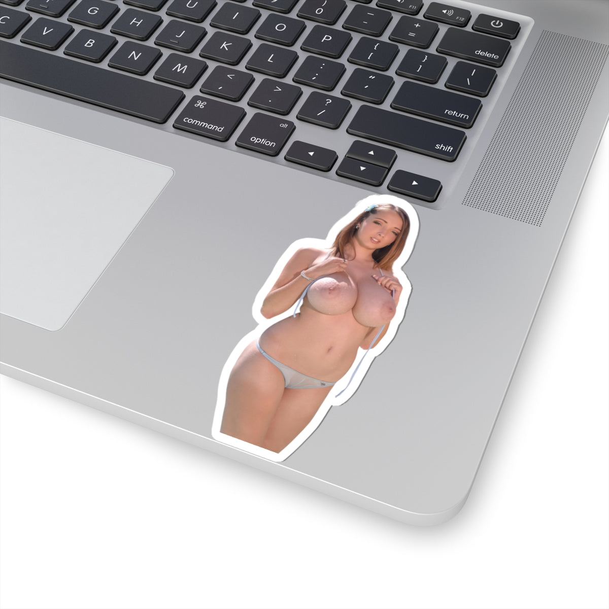 Big Boobs Sexy Pinup Model Sticker