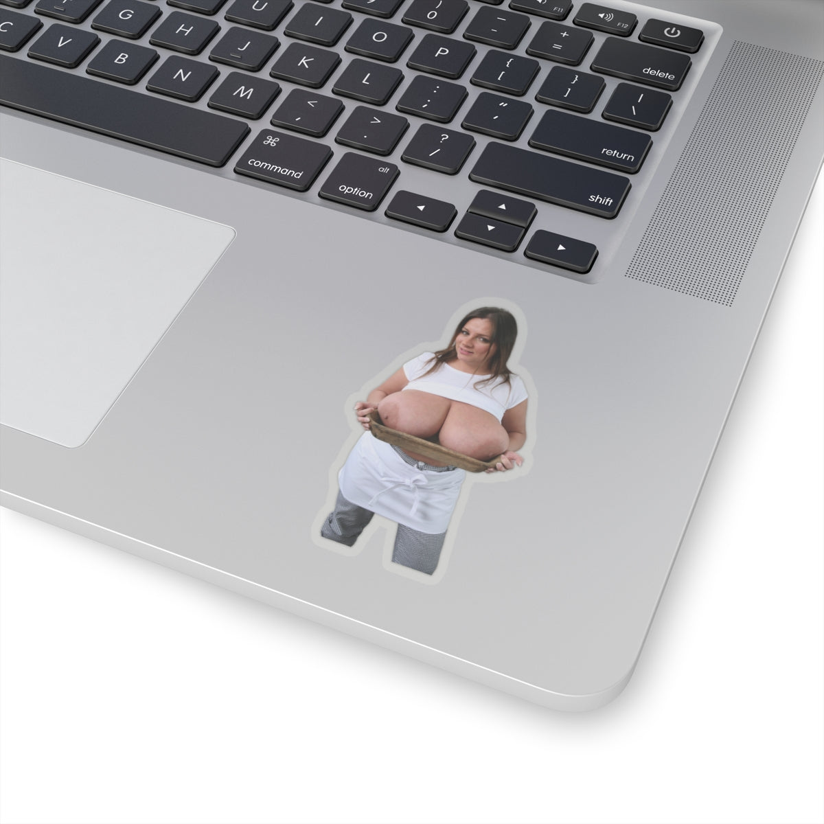 Nadine Jansen Big Tits Model Sticker Sexy Girl Pinup Stickers