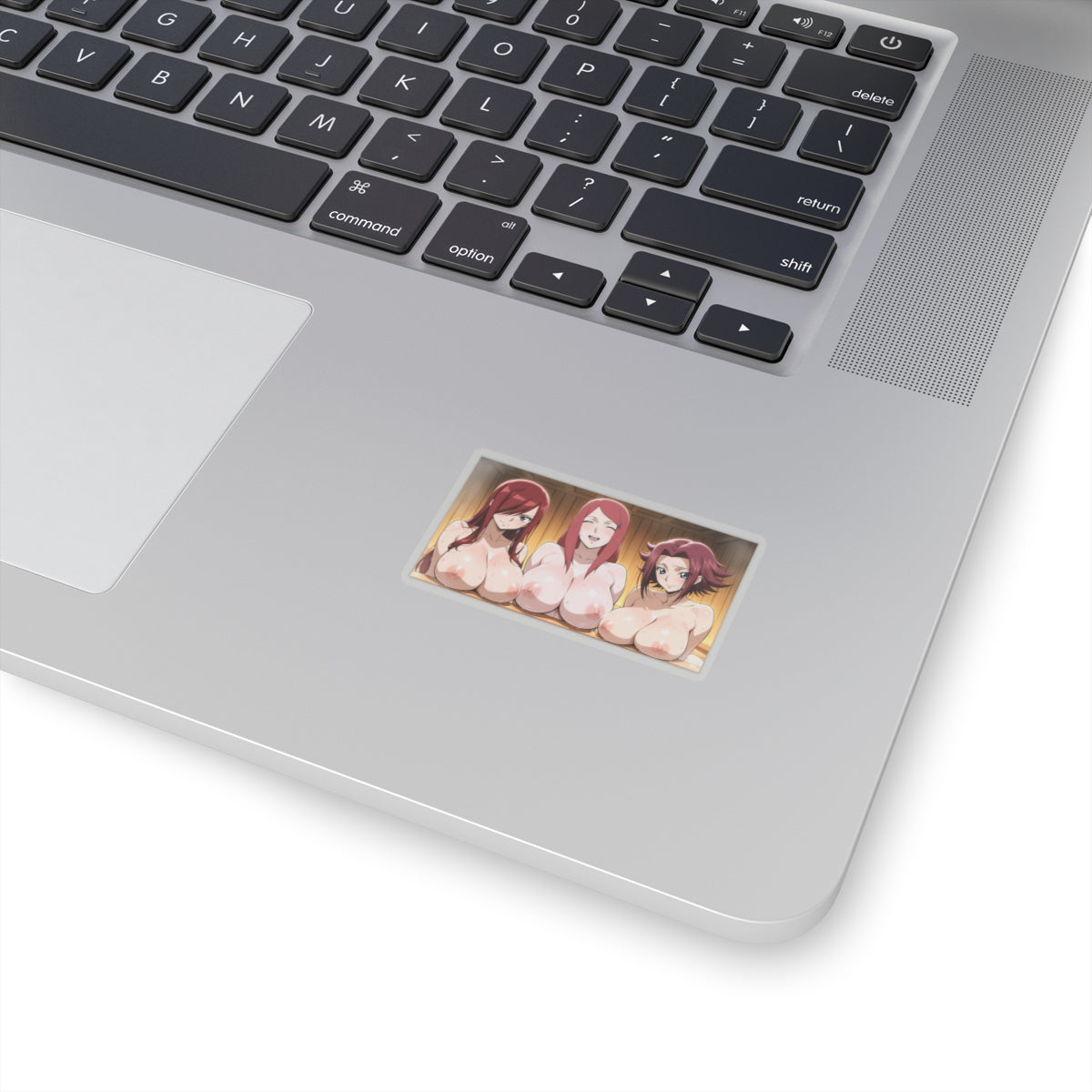 Anime Manga Hentai Stickers Anime Girls Big Boobs Sticker