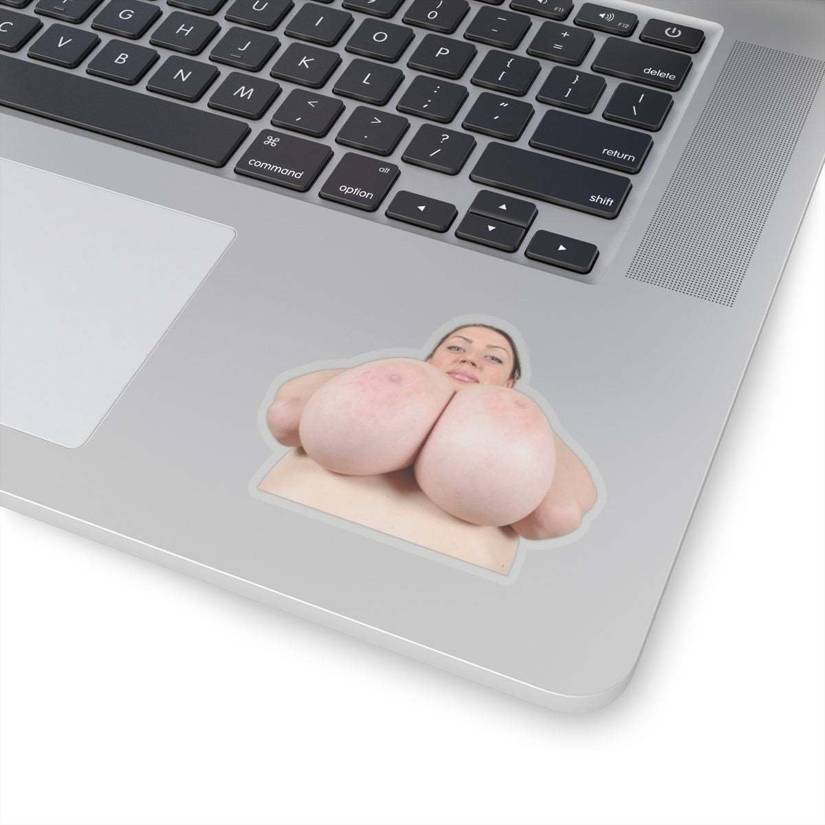 Huge Tits Girl Sticker Big Boobs Women Stickers