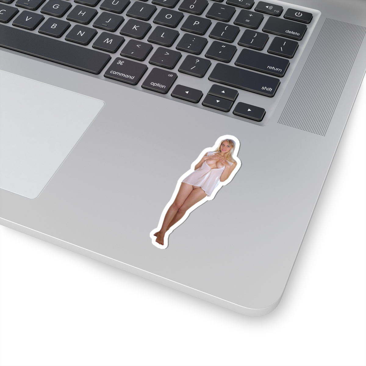 Pinup Stickers Sexy Women Uncensored Stickers