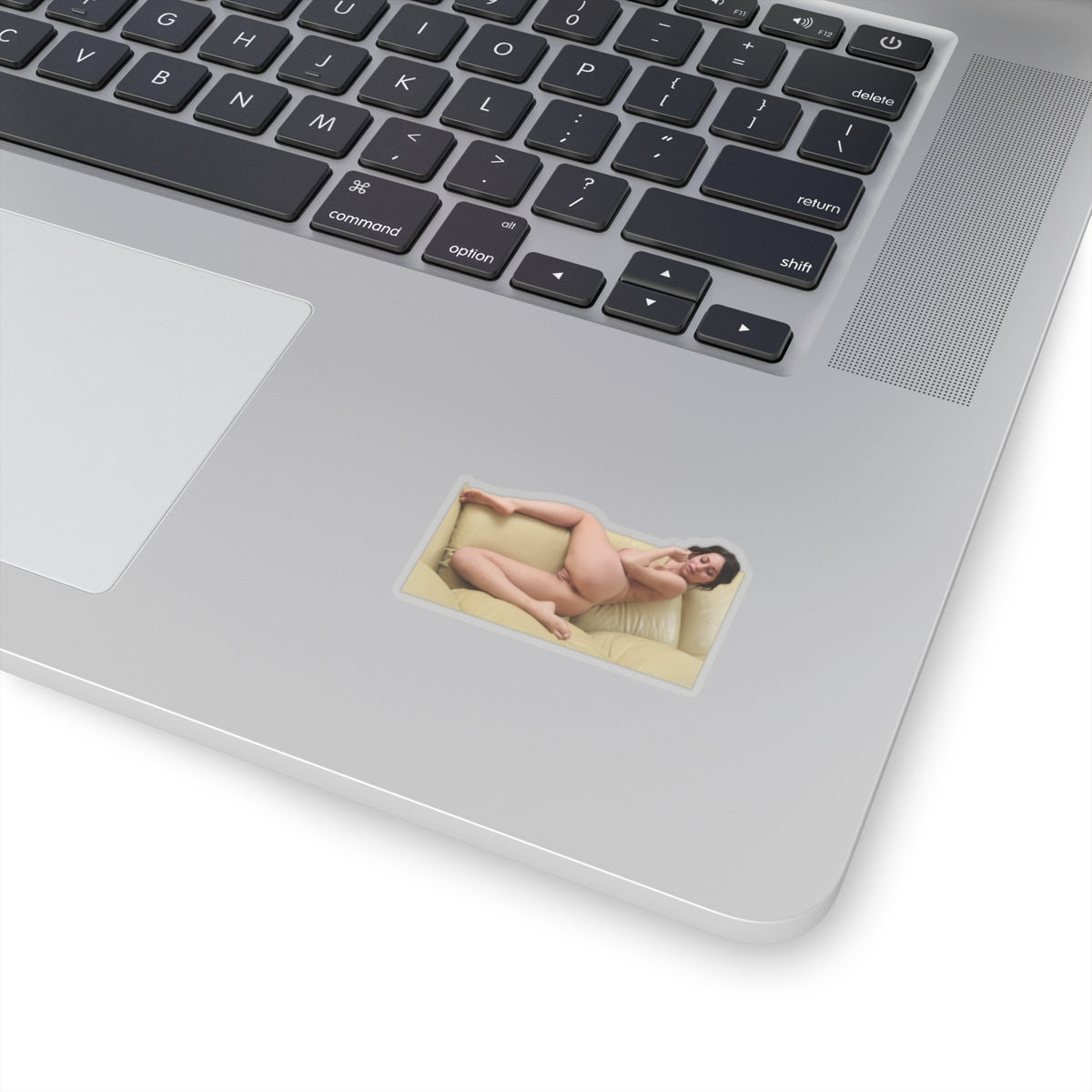 Pinup Model Sticker Hot Girl Stickers Nudity Sexy Women