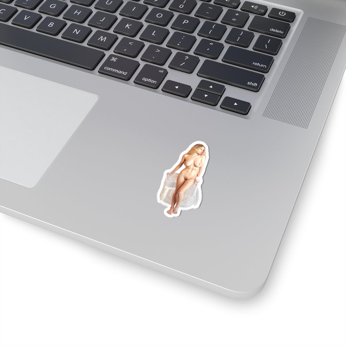Stickers For Adults Sexy Pinup Naked Girl Sticker